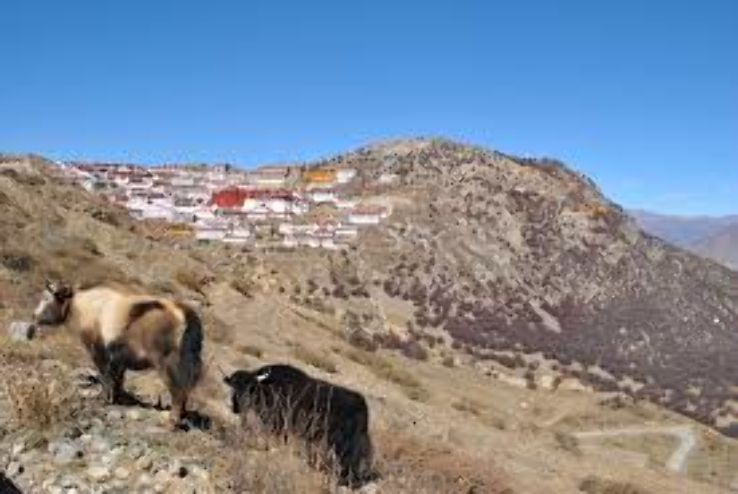 Ganden Monastery Trip Packages