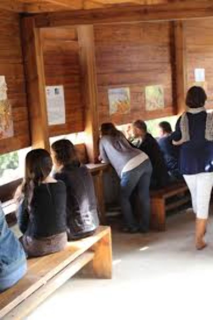 The Jerusalem Bird Observatory Trip Packages