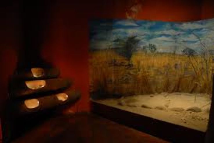 Durango Museum of Archeology Ganot-Peschard Trip Packages