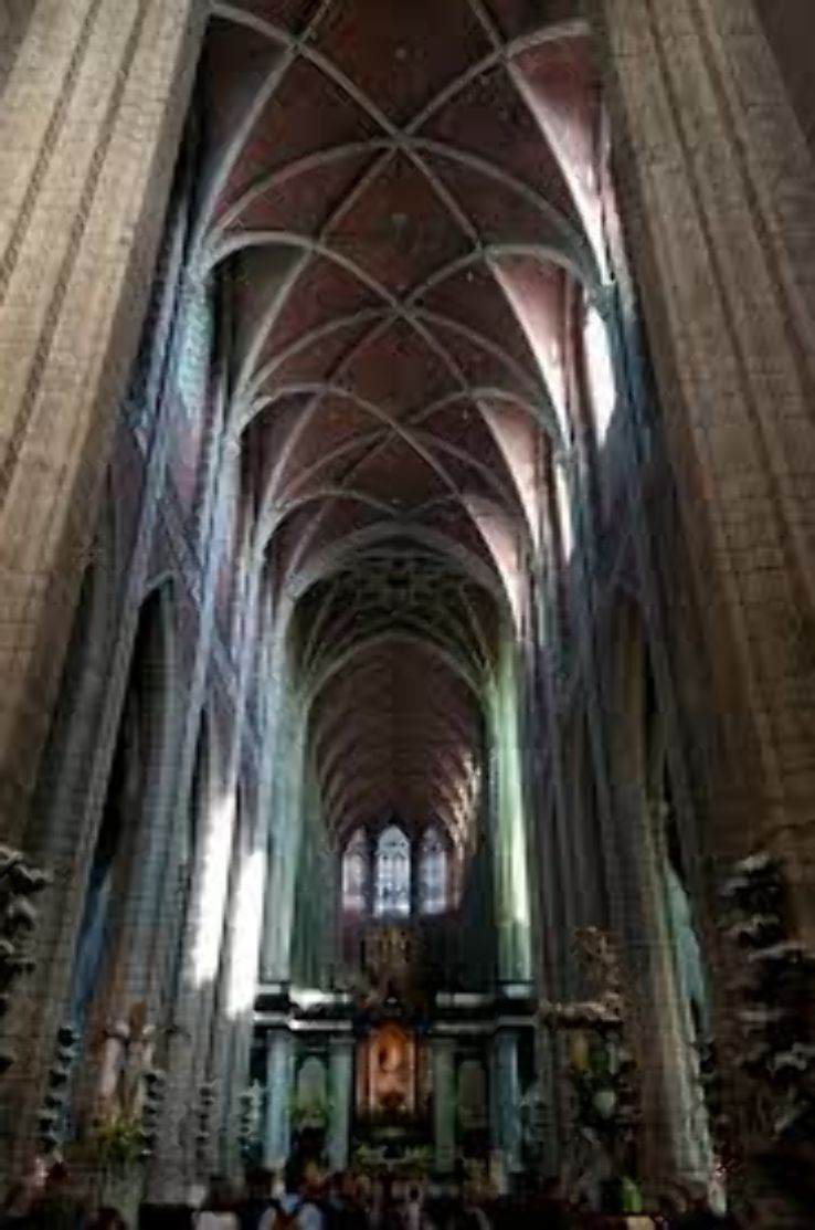Cathedral of Saint Bavo Trip Packages