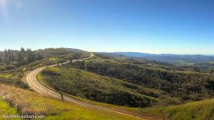 Windy Hill Open Space Preserve  Trip Packages