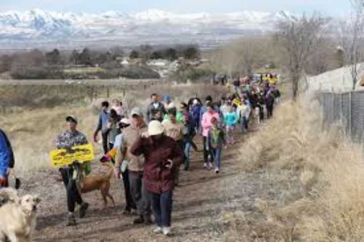 Dimple Dell Regional Park  Trip Packages