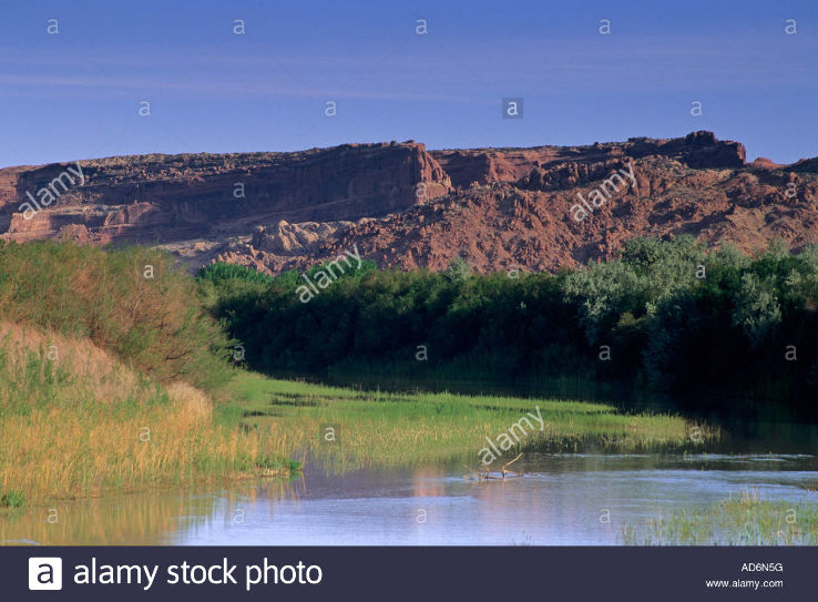 Bird Watching in the Scott Matheson Wetlands Preserve Trip Packages