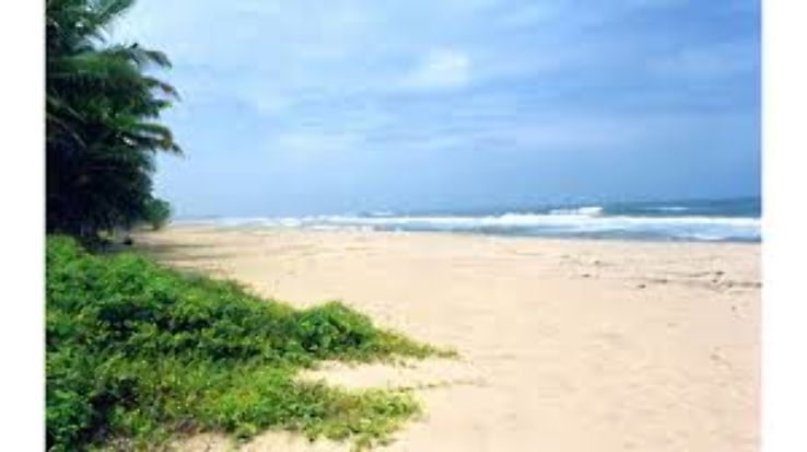 PAYYOLI BEACH  Trip Packages