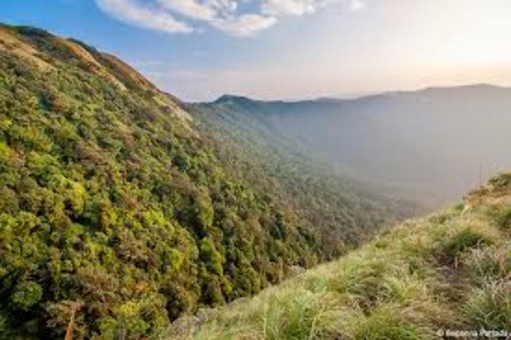 Pushpagiri Trip Packages Pushpagiri Trip Packages