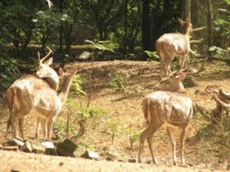 Ballavpur Wildlife Sanctuary Trip Packages