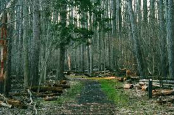 Oak Openings Preserve  Trip Packages