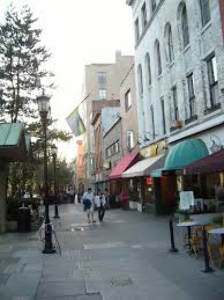 Ithaca Commons Trip Packages