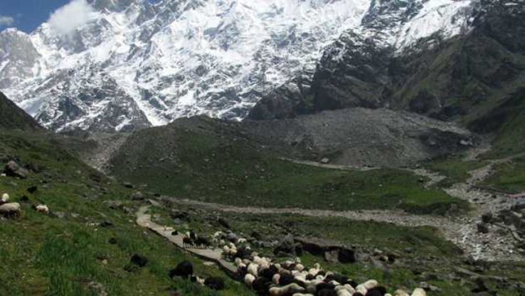 Kedarnath Wildlife Sanctuary Trip Packages