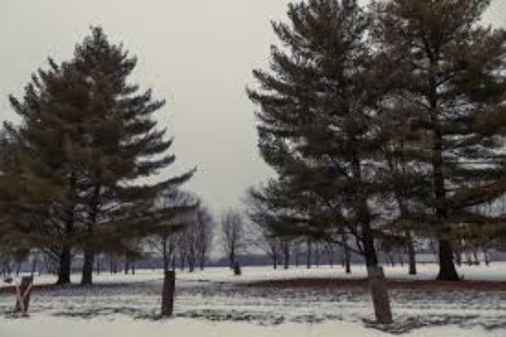 Water Works Park Trip Packages