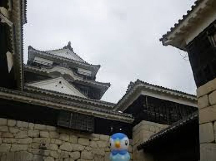 Kameyama Castle Trip Packages