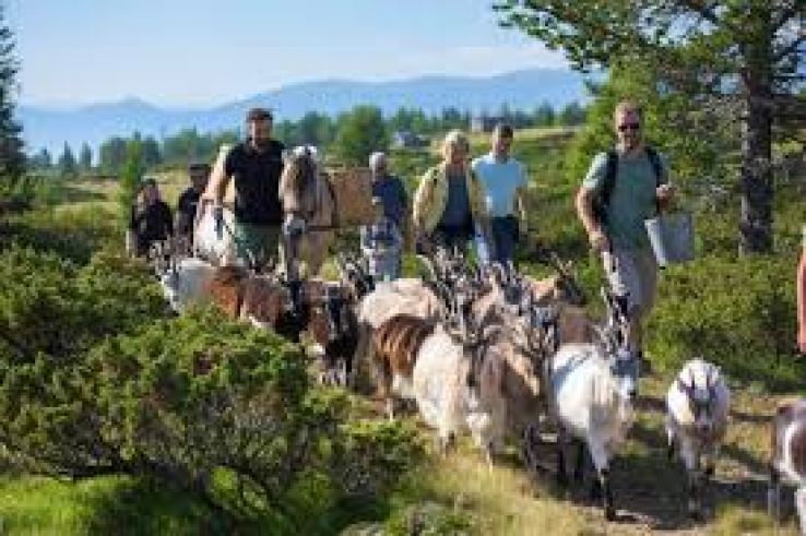 Langedrag Nature Park city Buskerud Trip Packages