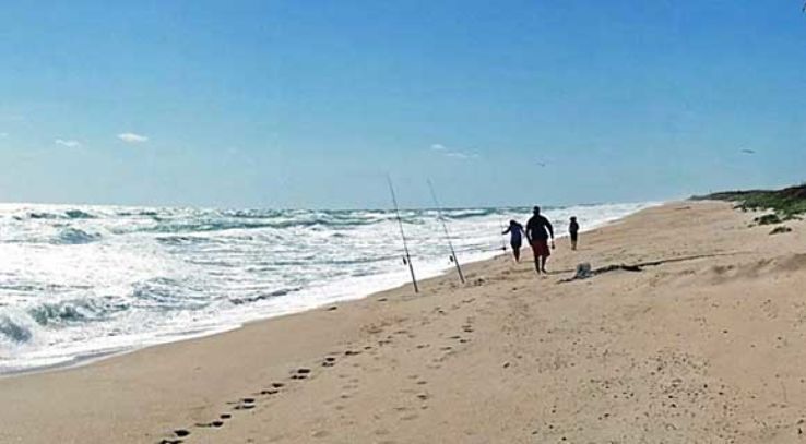 Canaveral National Seashore Trip Packages