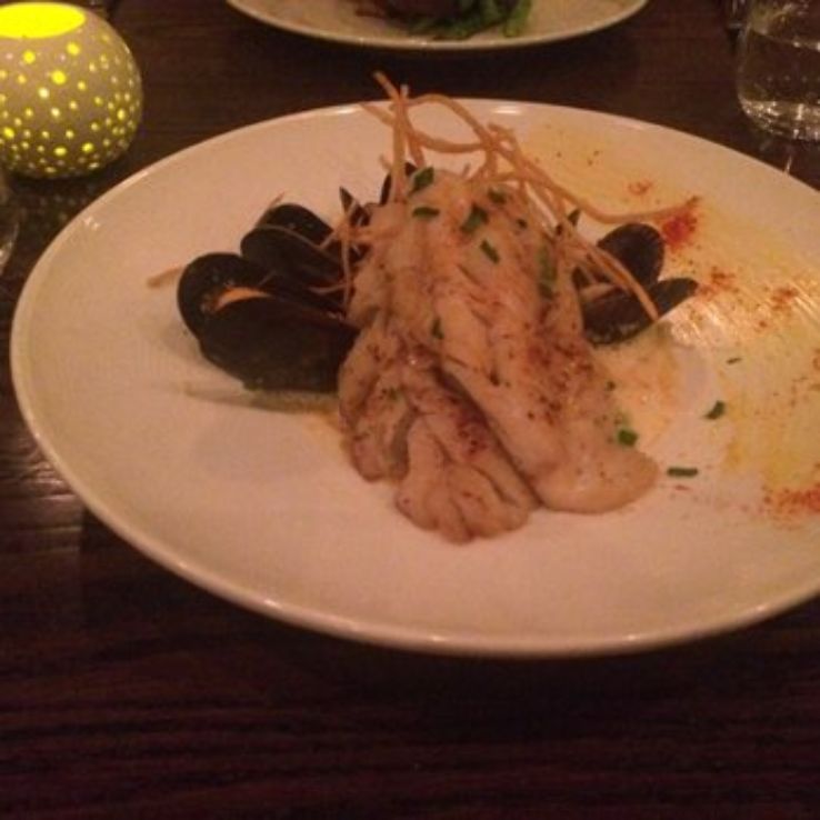 Abel Brown Trip Packages