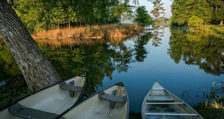 Champagnes Cajun Swamp Tours Trip Packages