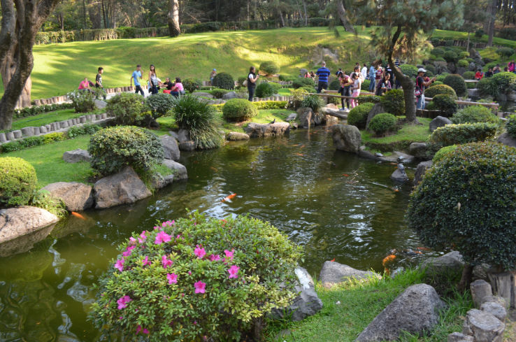 Los Colomos Trip Packages