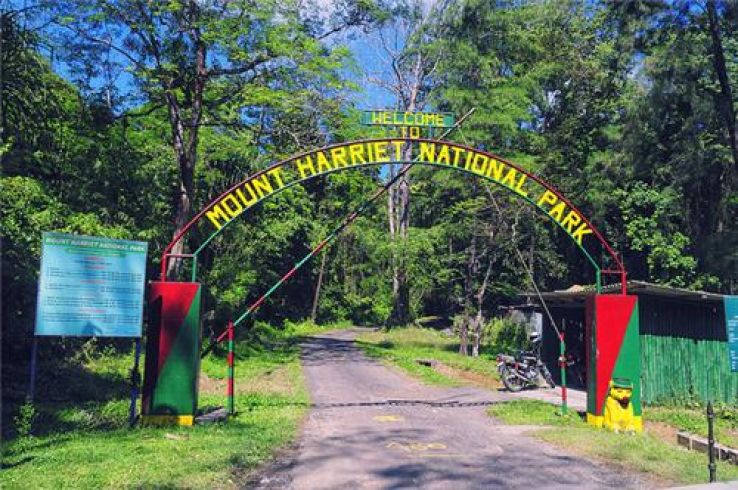 Mount Harriet National Park Trip Packages
