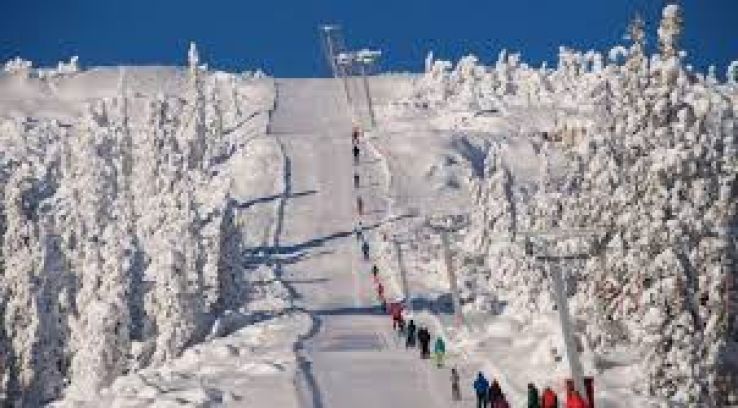 Hogevarde Trip Packages