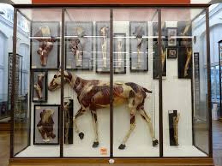 Fragonard d Alfort Museum Trip Packages