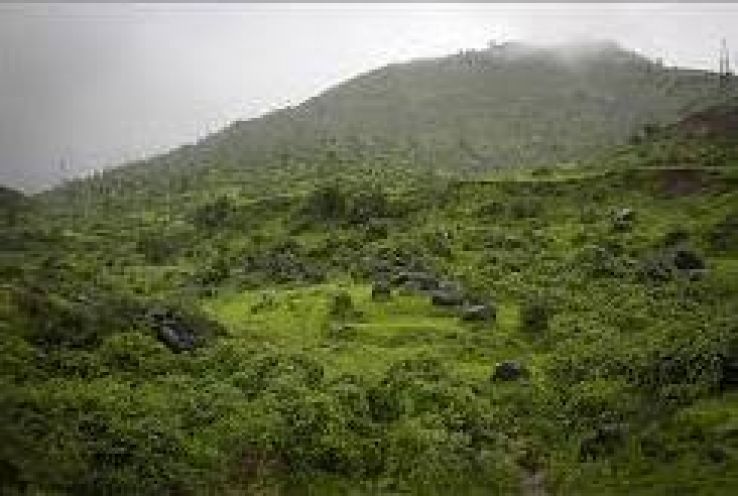 Sausage Hill Trip Packages