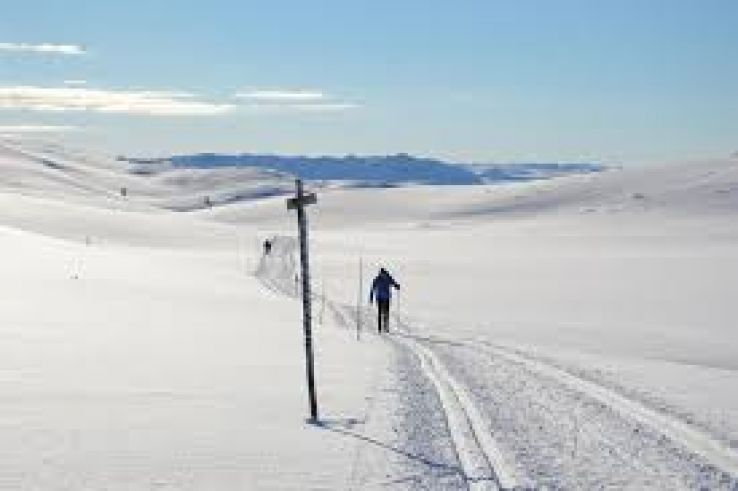 Langedrag Nature Park city Buskerud Trip Packages