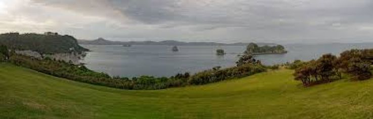 Whitianga Trip Packages