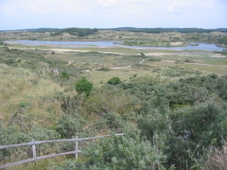 Zuid Kennemerland National Park Trip Packages