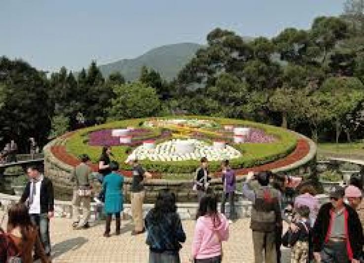 Yangmingshan National Park Trip Packages