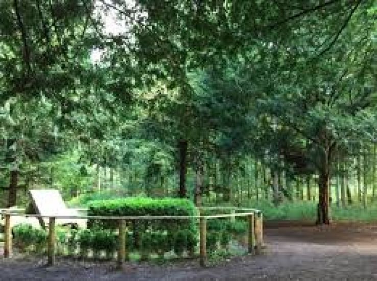 Horsholm Trip Packages