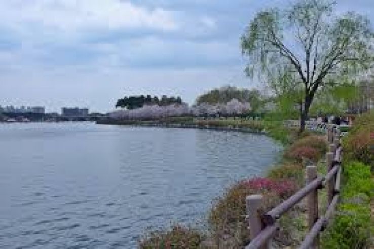 Ilsan Lake Park Trip Packages