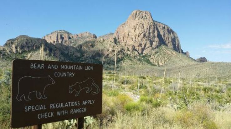 Alpine Trip Packages