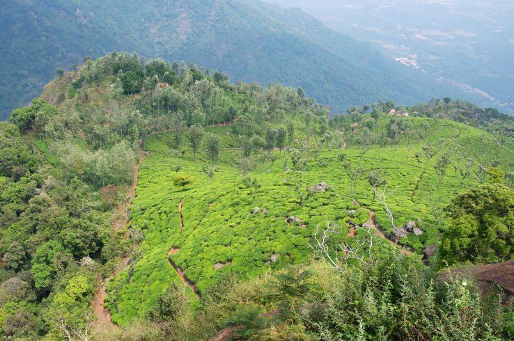 Dolphins Nose in coonoor Trip Packages