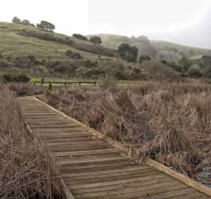 Coyote Hills Regional Park and Alameda Creek Trail Trip Packages