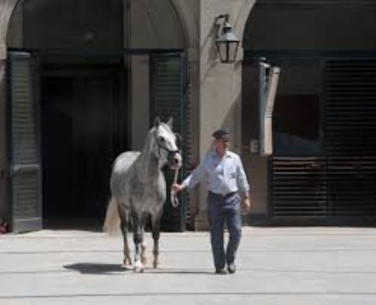 The Spanish Riding School Trip Packages