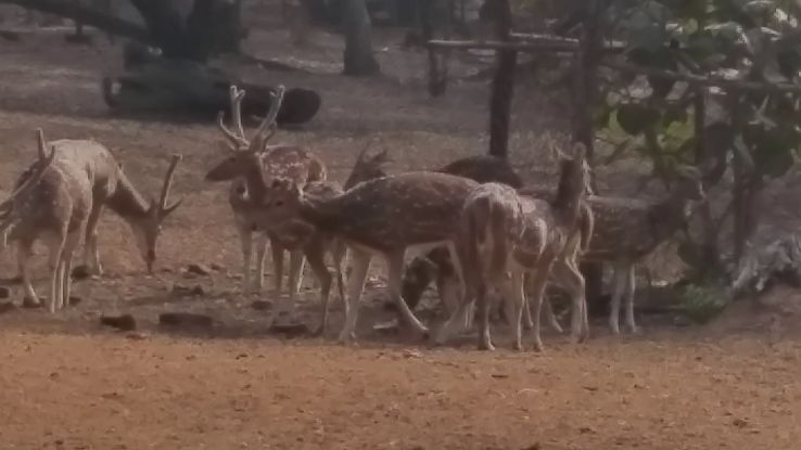 Ballabhpur Wildlife Sanctuary  Trip Packages