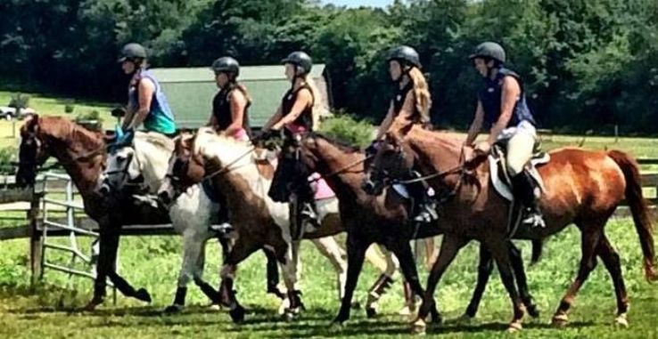 Creekside Riding Academy & Stables Trip Packages