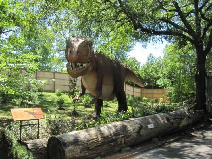 Memphis Zoo Trip Packages