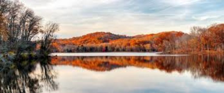 Radnor Lake State Natural Area Trip Packages