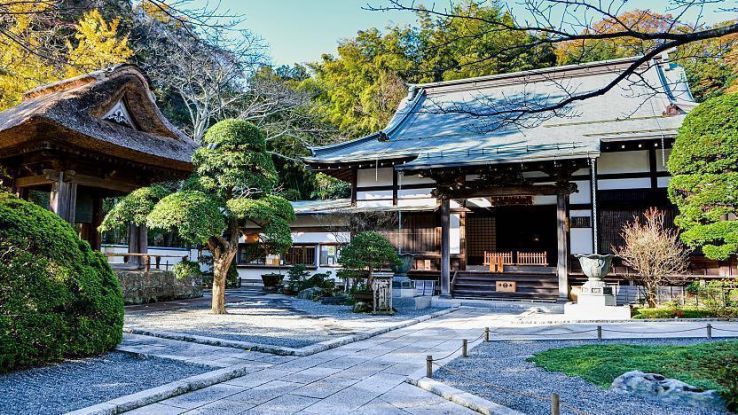 Hokoku ji Trip Packages