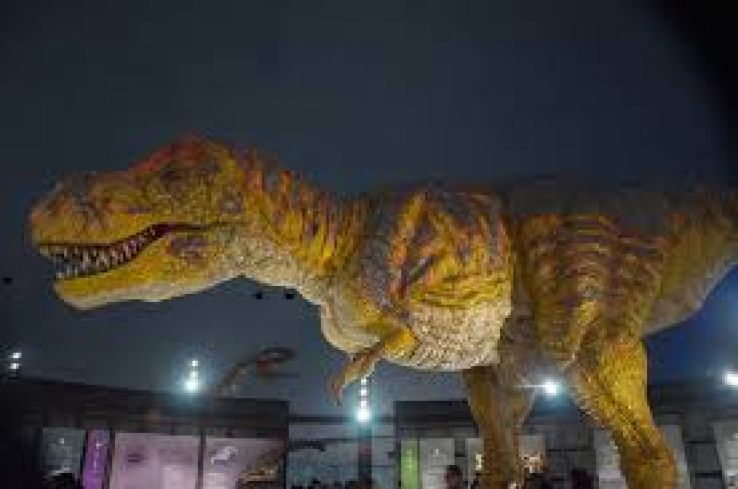 Fukui Prefectural Dinosaur Museum Trip Packages