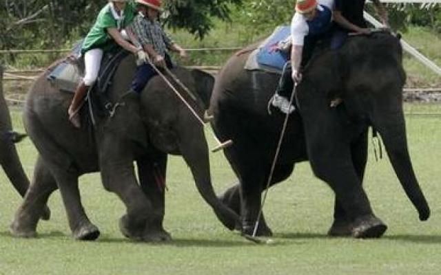 Chitwan Trip Packages