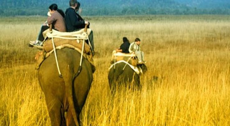 Family Getaway 3 Days 2 Nights Kanha National Park Vacation Package