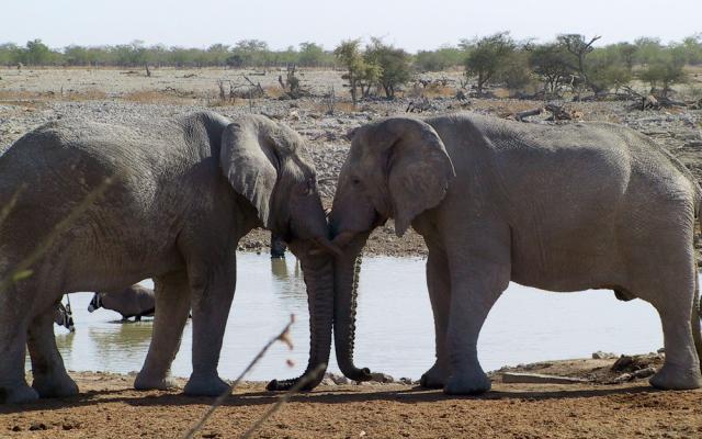 Etosha National Park: Kunene Trip Packages