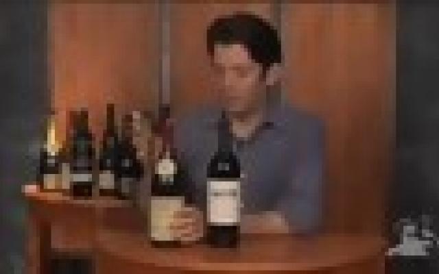 Exploring Wine Country in Bordeaux Trip Packages