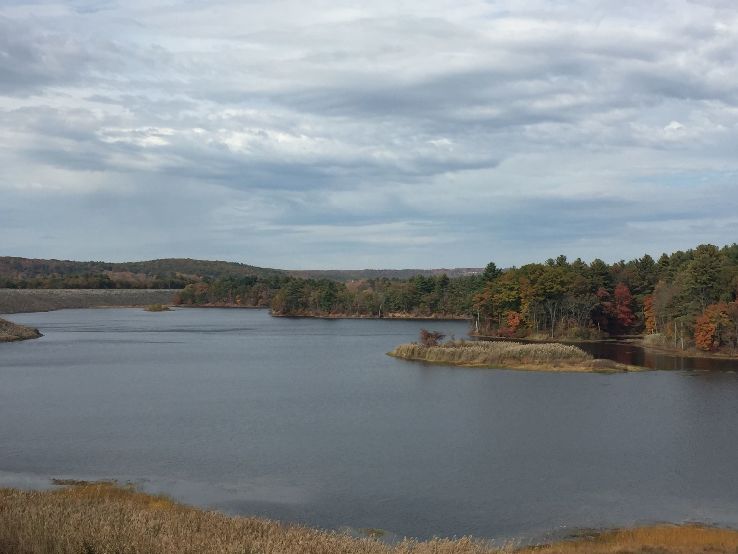 Chaplin Trip Packages