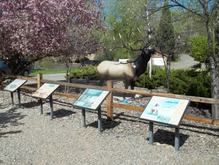 Durango Fish Hatchery and Wildlife Museum  Trip Packages