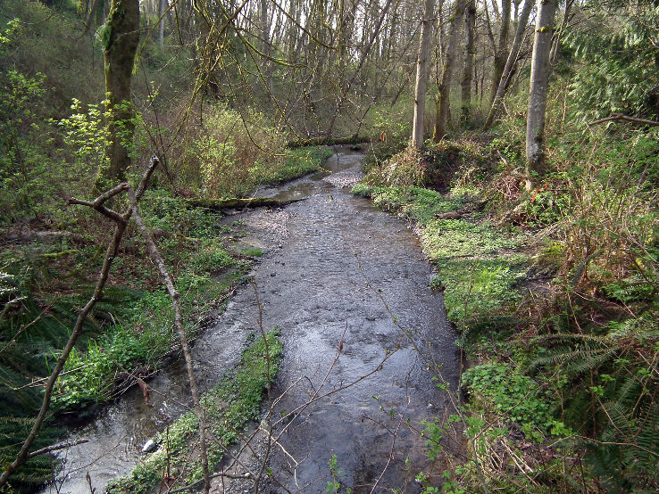 Carkeek Park  Trip Packages