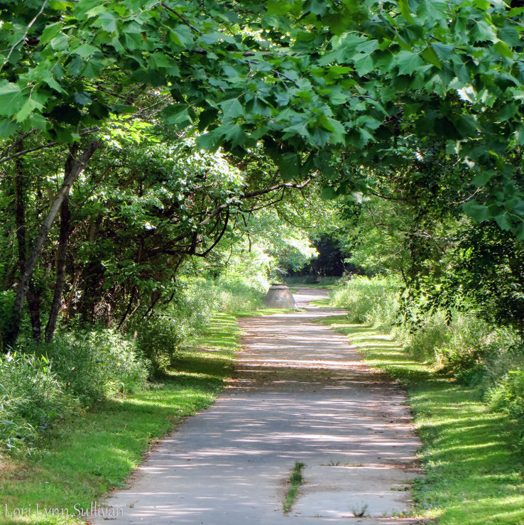 Sandy Creek Park Trail Trip Packages