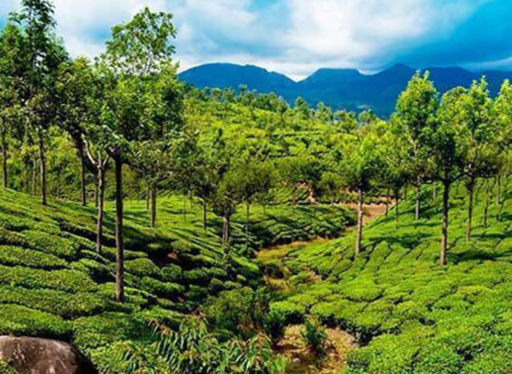 Beautiful 2 Days 1 Night Thekkady Tour Package