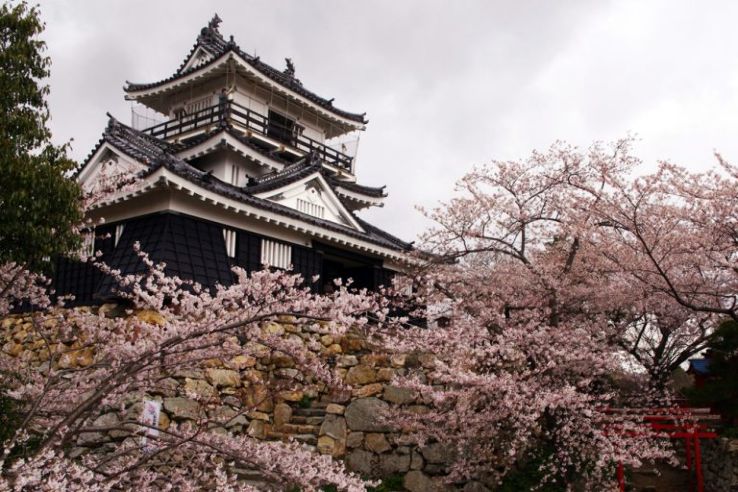 Hamamatsu Castle Trip Packages